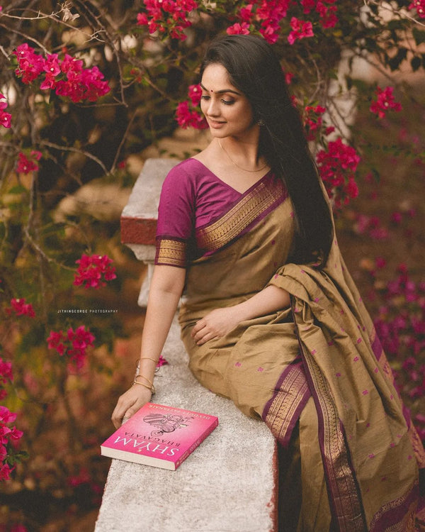 Sophisticated Dark Beige Soft Banarasi Silk Saree With Energetic Blous - Shop authentic Indian Women's Fashion by Silk Folks