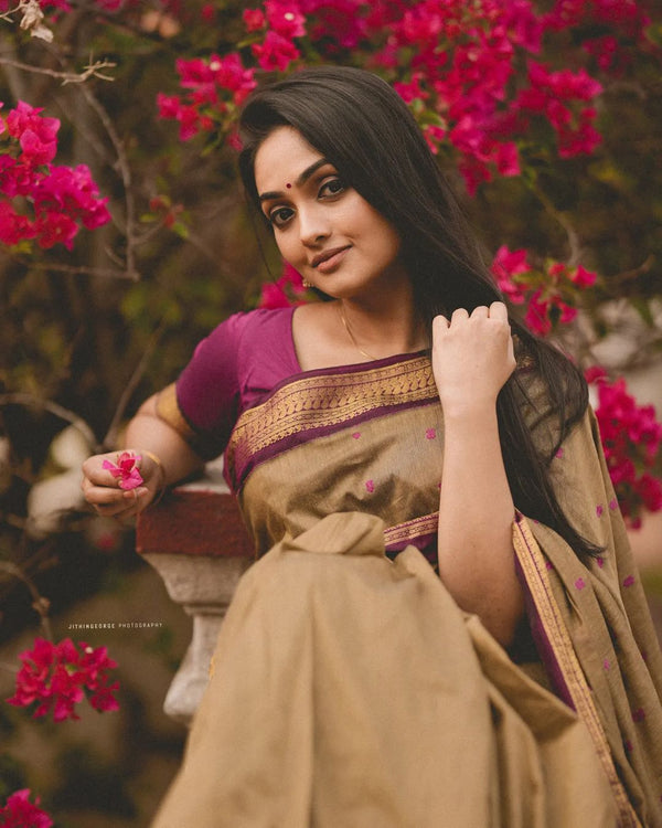 Sophisticated Dark Beige Soft Banarasi Silk Saree With Energetic Blous - Shop authentic Indian Women's Fashion by Silk Folks