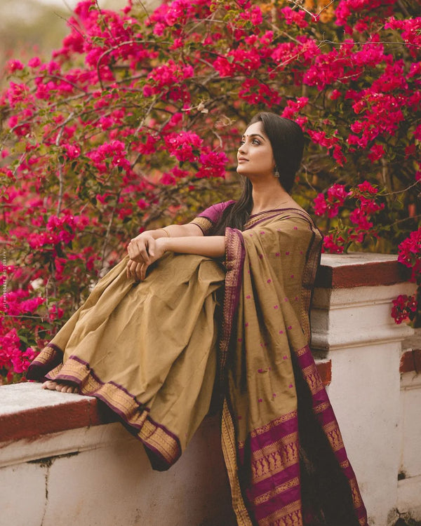 Sophisticated Dark Beige Soft Banarasi Silk Saree With Energetic Blous - Shop authentic Indian Women's Fashion by Silk Folks