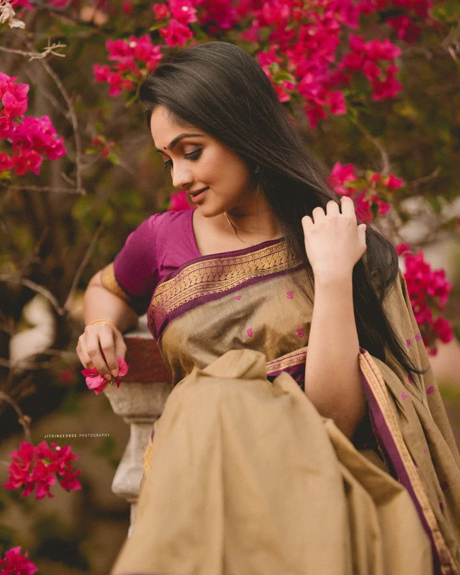 Sophisticated Dark Beige Soft Banarasi Silk Saree With Energetic Blous - Shop authentic Indian Women's Fashion by Silk Folks