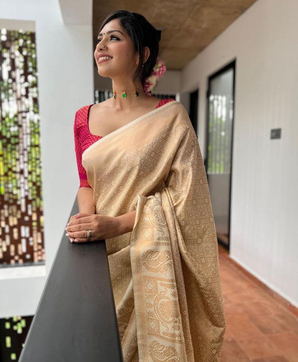 Wonderful Beige Soft Silk Saree With Mesmerising Blouse Piece - Shop authentic Indian Women's Fashion by Silk Folks