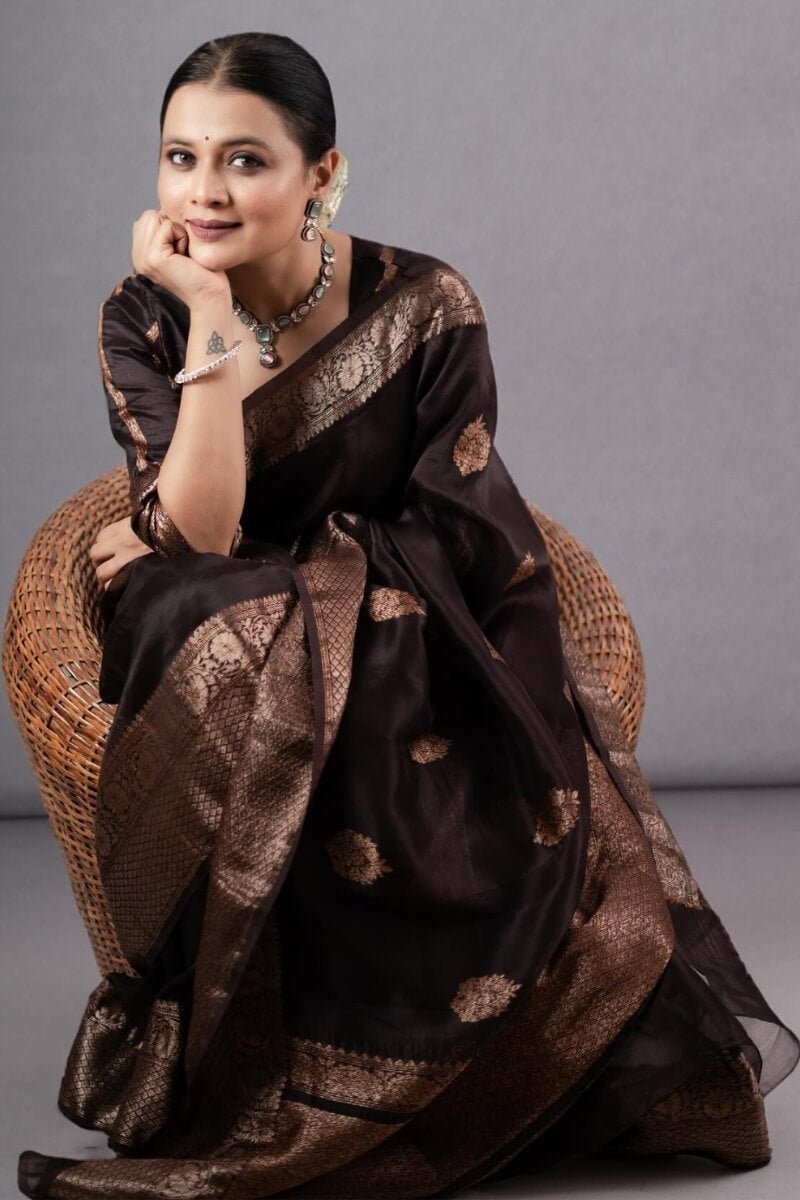 Prettiest Brown Soft Silk Saree With Designer Blouse Piece - Shop authentic Indian Women's Fashion by Silk Folks