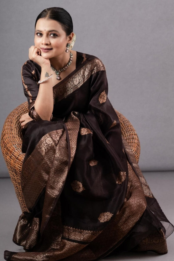 Prettiest Brown Soft Silk Saree With Designer Blouse Piece - Shop authentic Indian Women's Fashion by Silk Folks