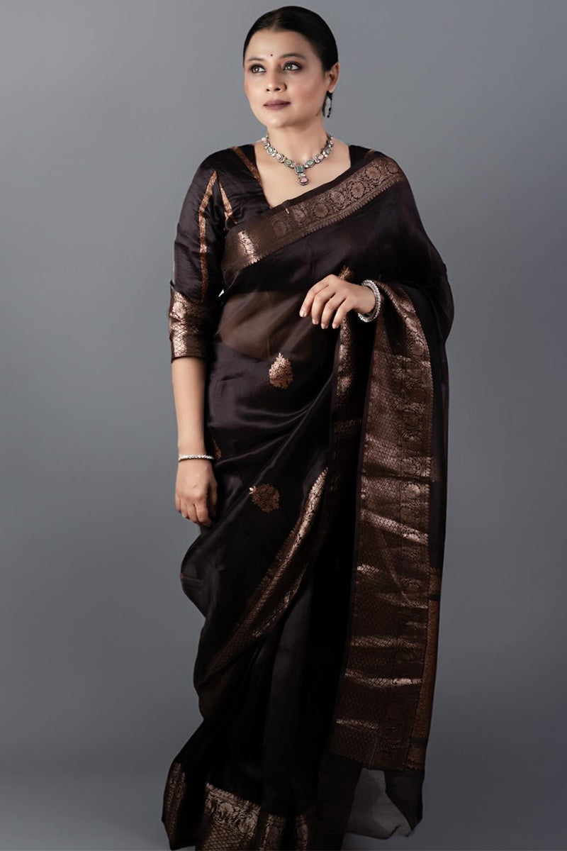 Prettiest Brown Soft Silk Saree With Designer Blouse Piece - Shop authentic Indian Women's Fashion by Silk Folks