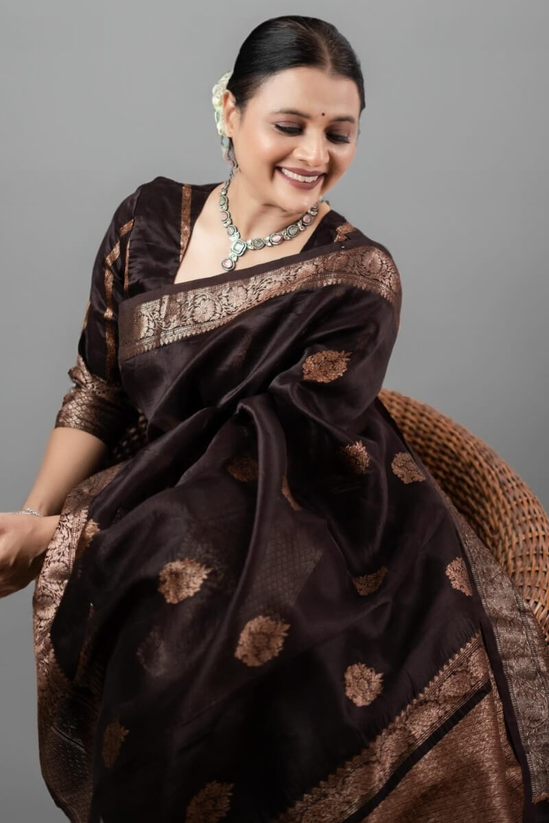 Prettiest Brown Soft Silk Saree With Designer Blouse Piece - Shop authentic Indian Women's Fashion by Silk Folks