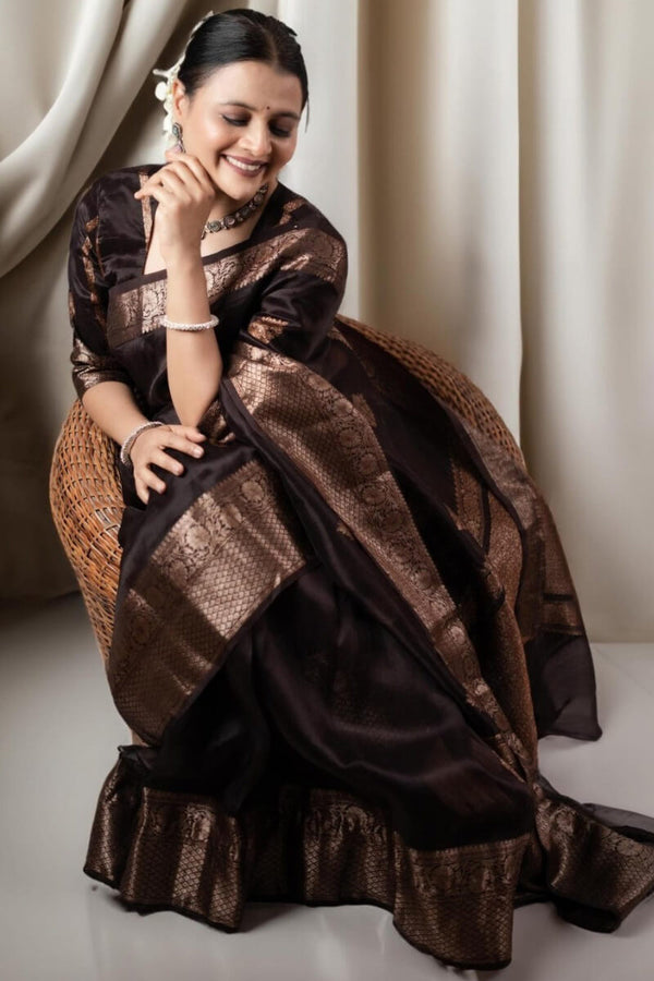 Prettiest Brown Soft Silk Saree With Designer Blouse Piece - Shop authentic Indian Women's Fashion by Silk Folks
