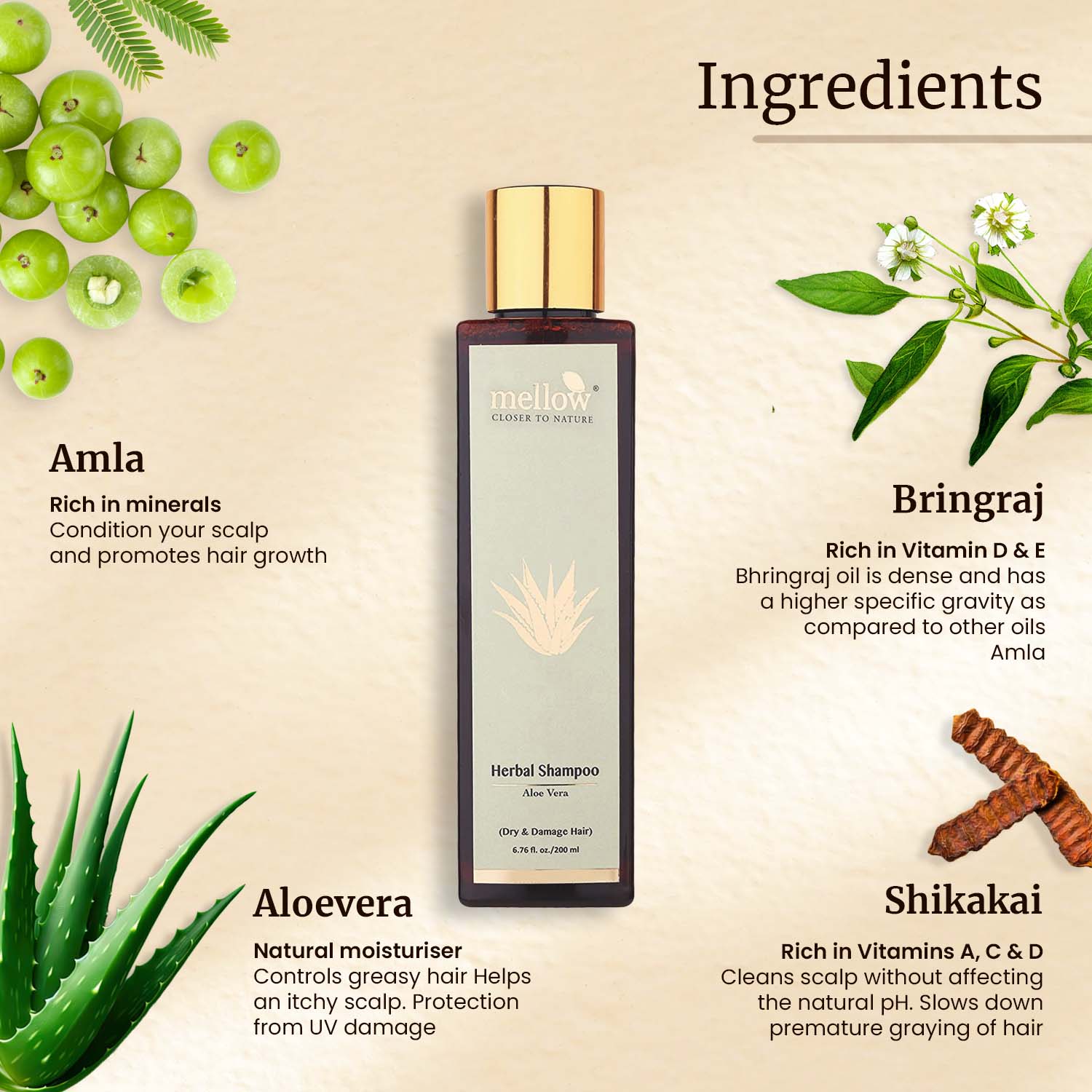 Herbal Aloevera Shampoo for Dry and Damaged hair - Shop authentic Indian Beauty by Mellow