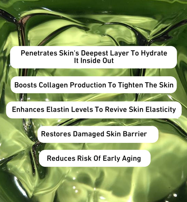 India’s First Mexico-Sourced Cactus-Infused Skin Tightening Gel - Shop authentic Indian Beauty by Evermore