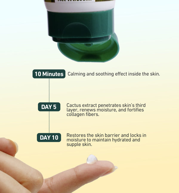 India’s First Mexico-Sourced Cactus-Infused Skin Tightening Gel - Shop authentic Indian Beauty by Evermore