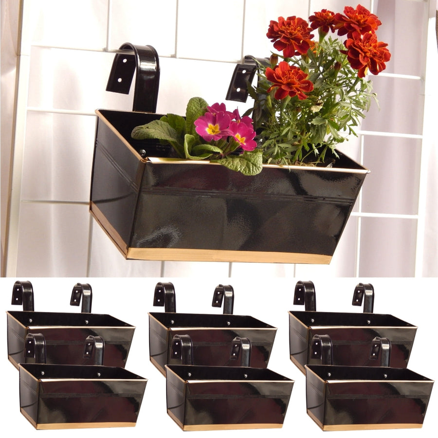 Variant image