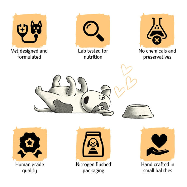 Chicken Feet | Dehydrated - Shop authentic Indian Pet Supplies by Nuts over Mutts