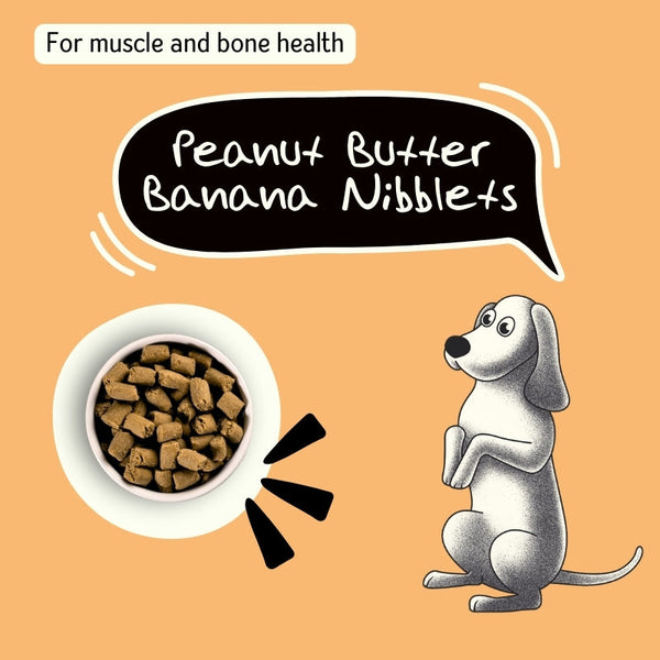 Peanut Butter Banana Nibblets - Shop authentic Indian Pet Supplies by Nuts over Mutts