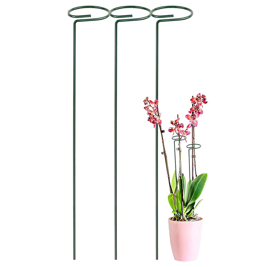 Variant image