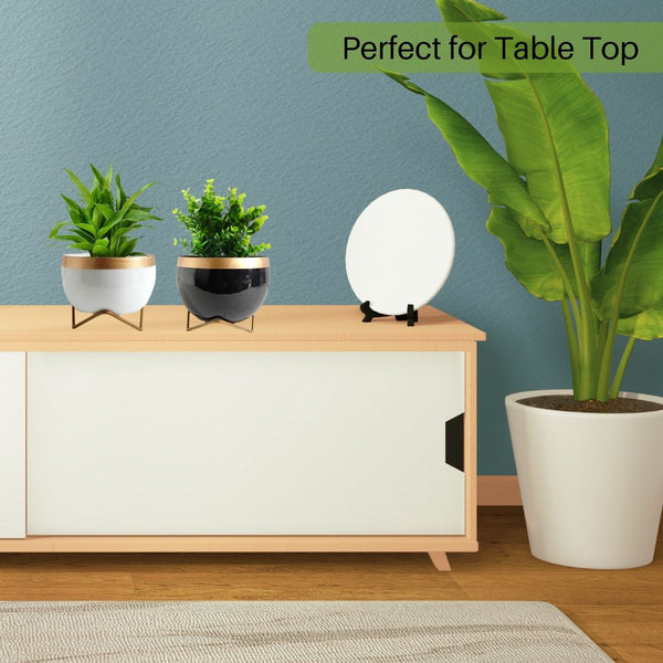 6