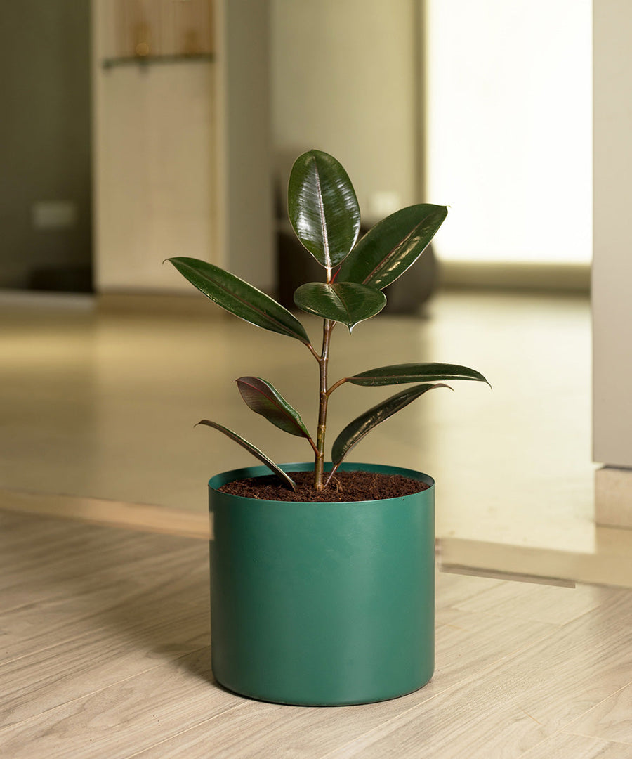 Variant image