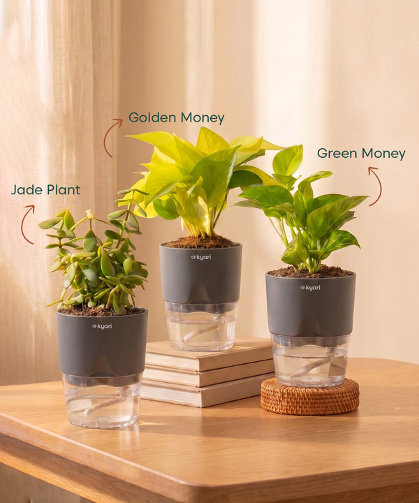 39