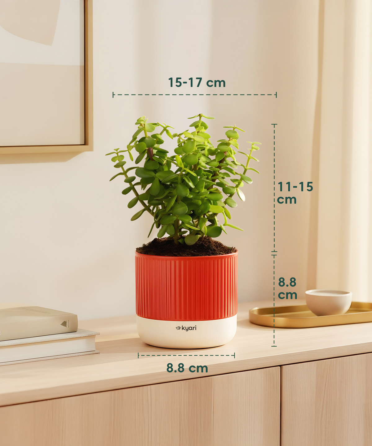 3