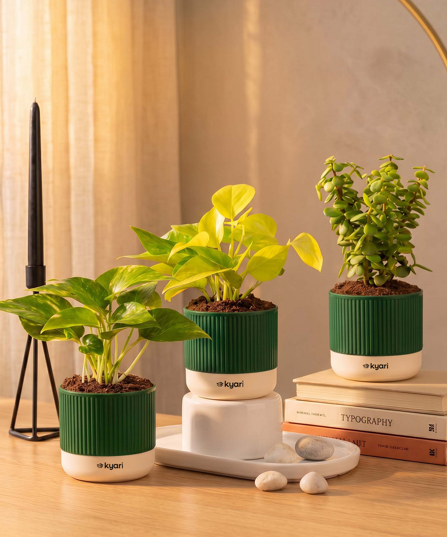 18
