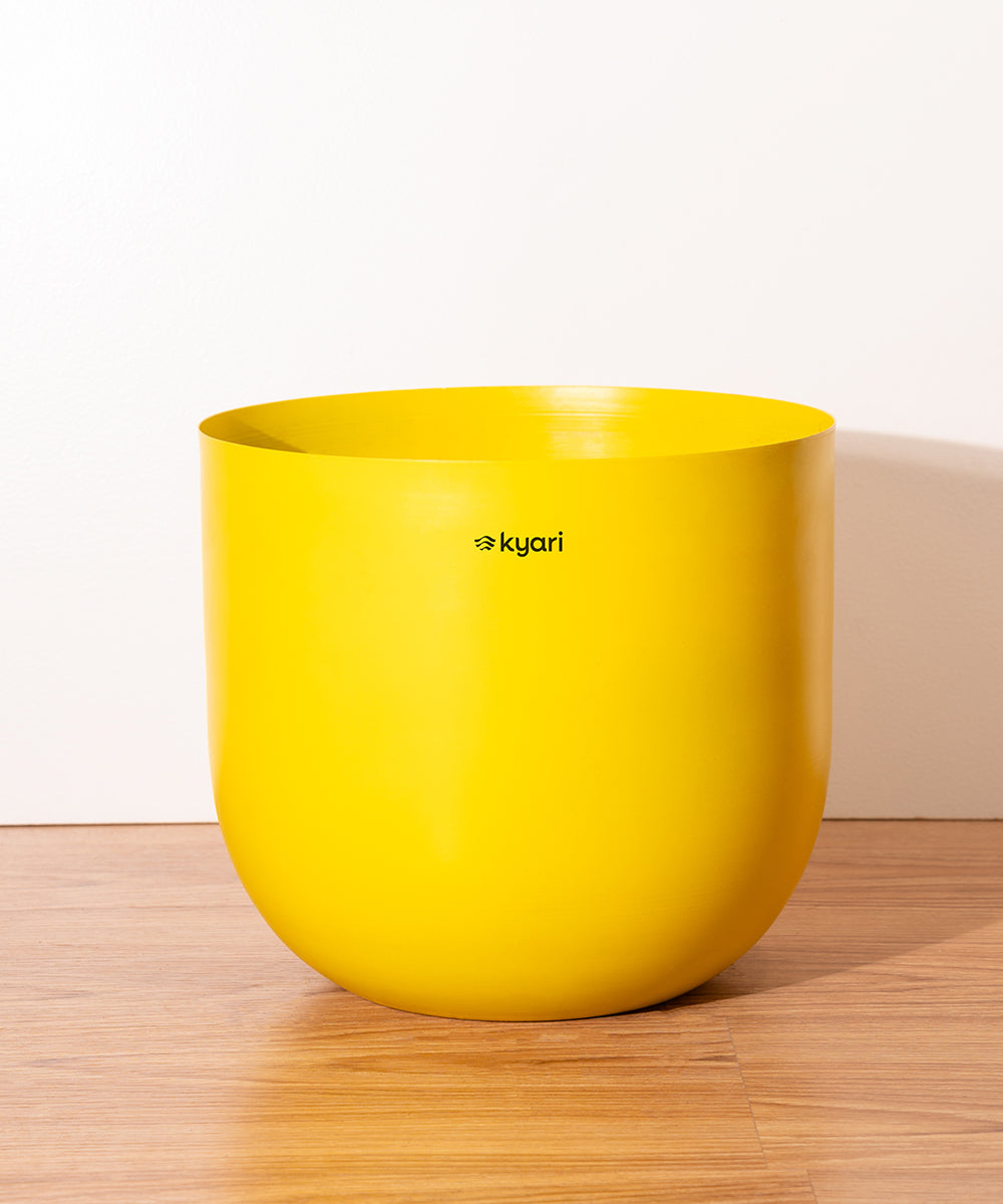 Variant image