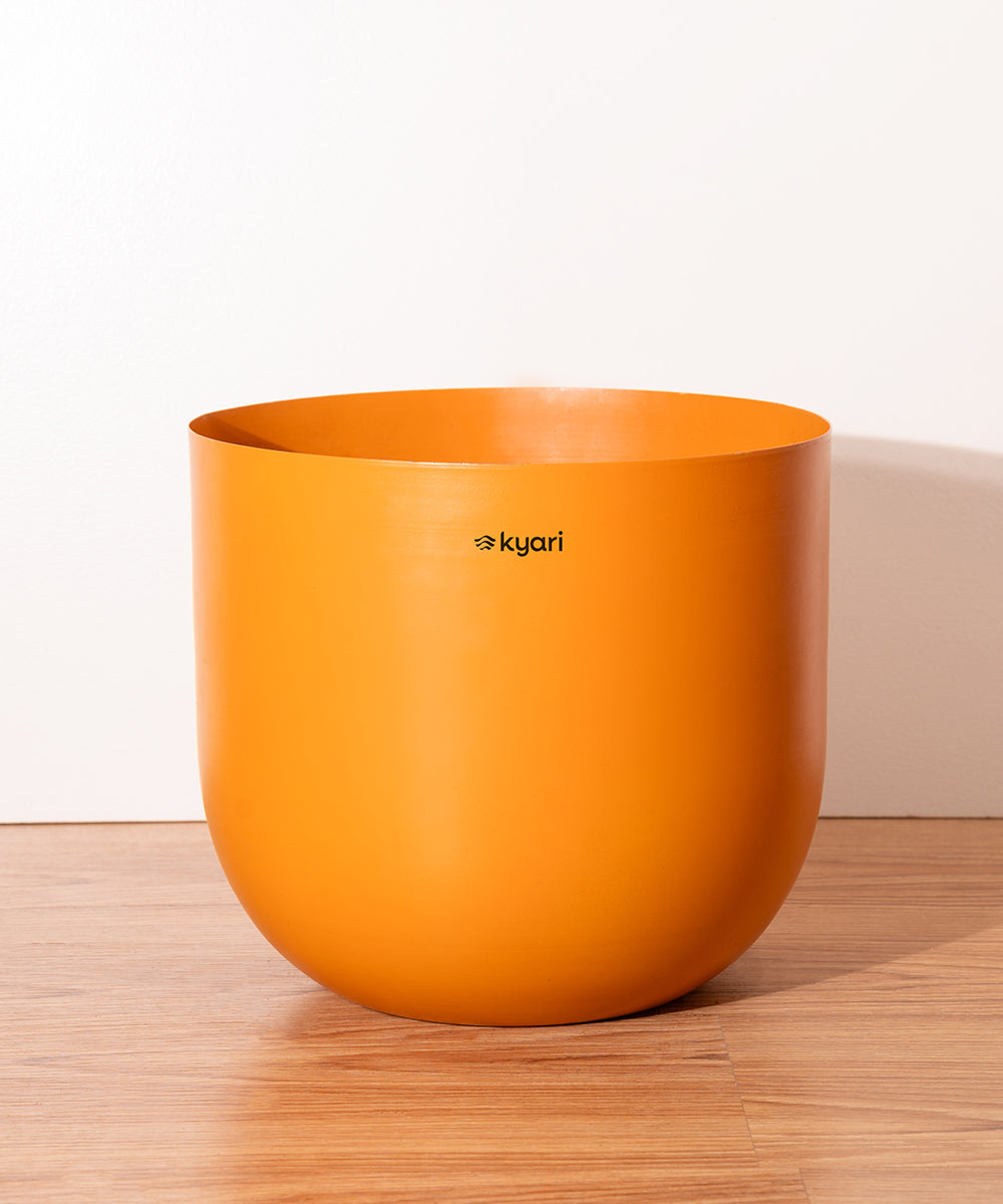 Variant image