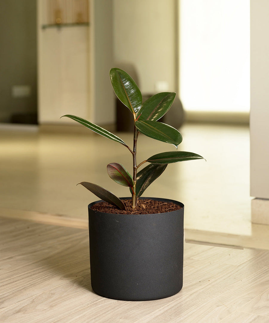Variant image