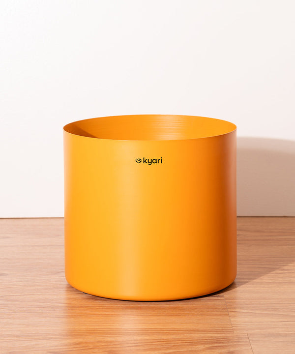 Variant image