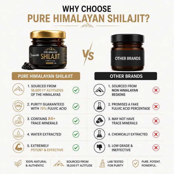 20gm - Pure Himalayan Shilajit Resin | High Concentration Fulvic Acid - 75% | Lab Tested Quality Guaranteed | High Potency Natural Energy & Immune Support