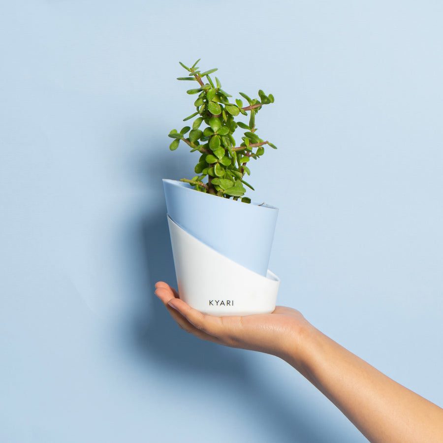 103