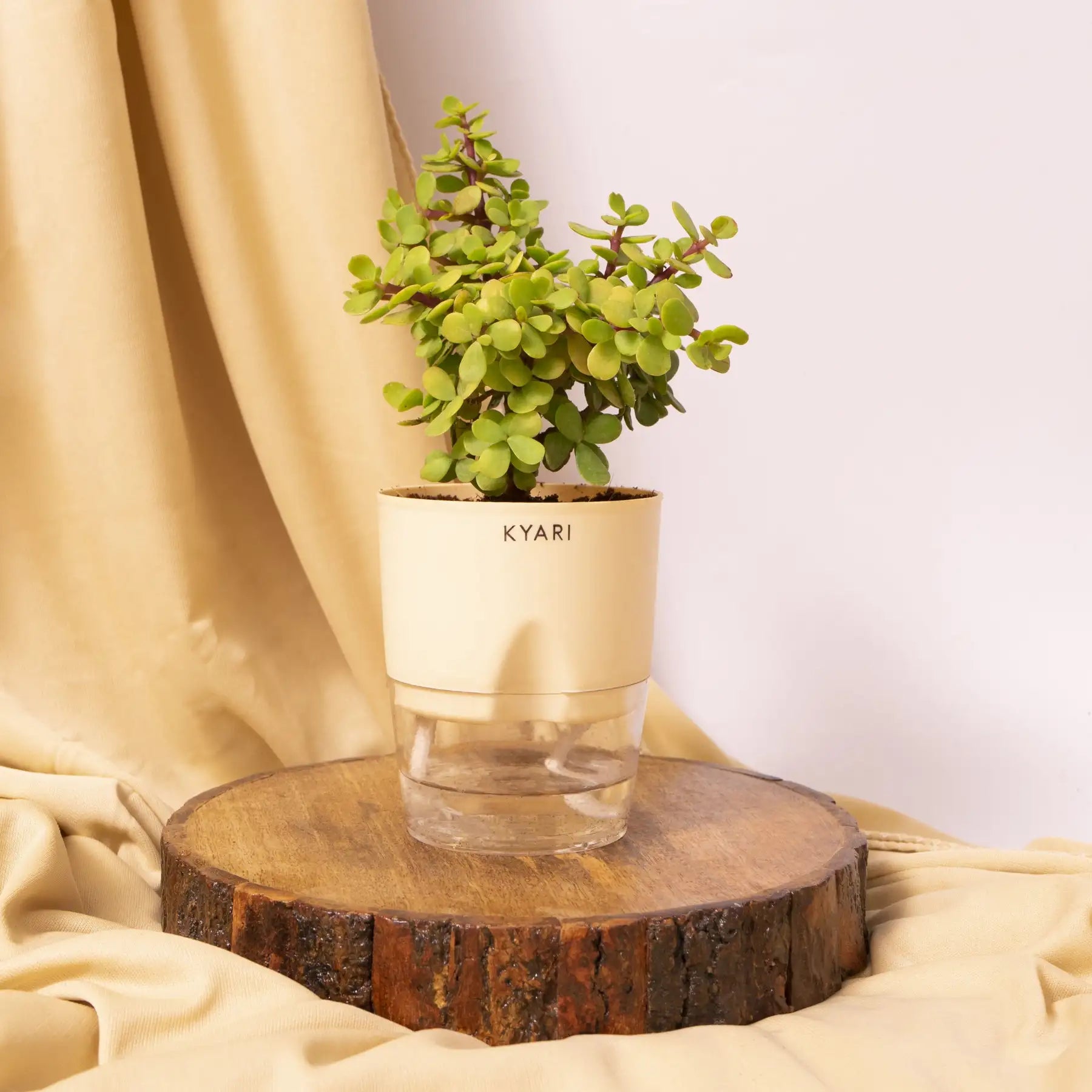 Variant image