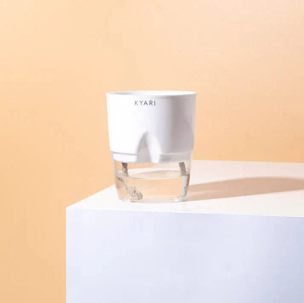 Variant image