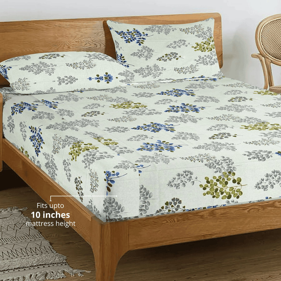 6