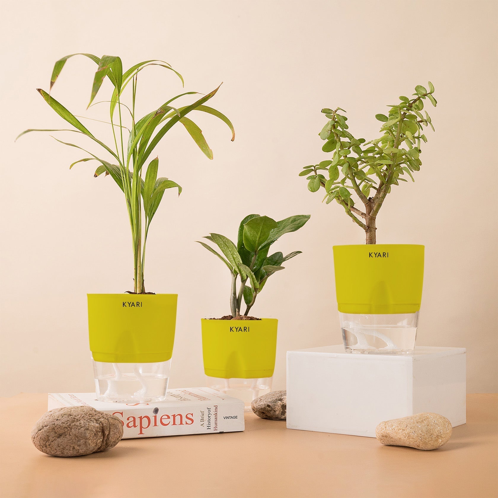 Variant image