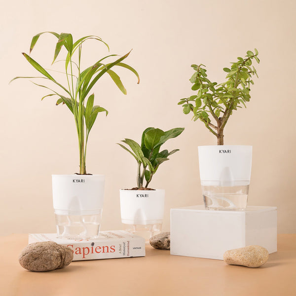 Variant image