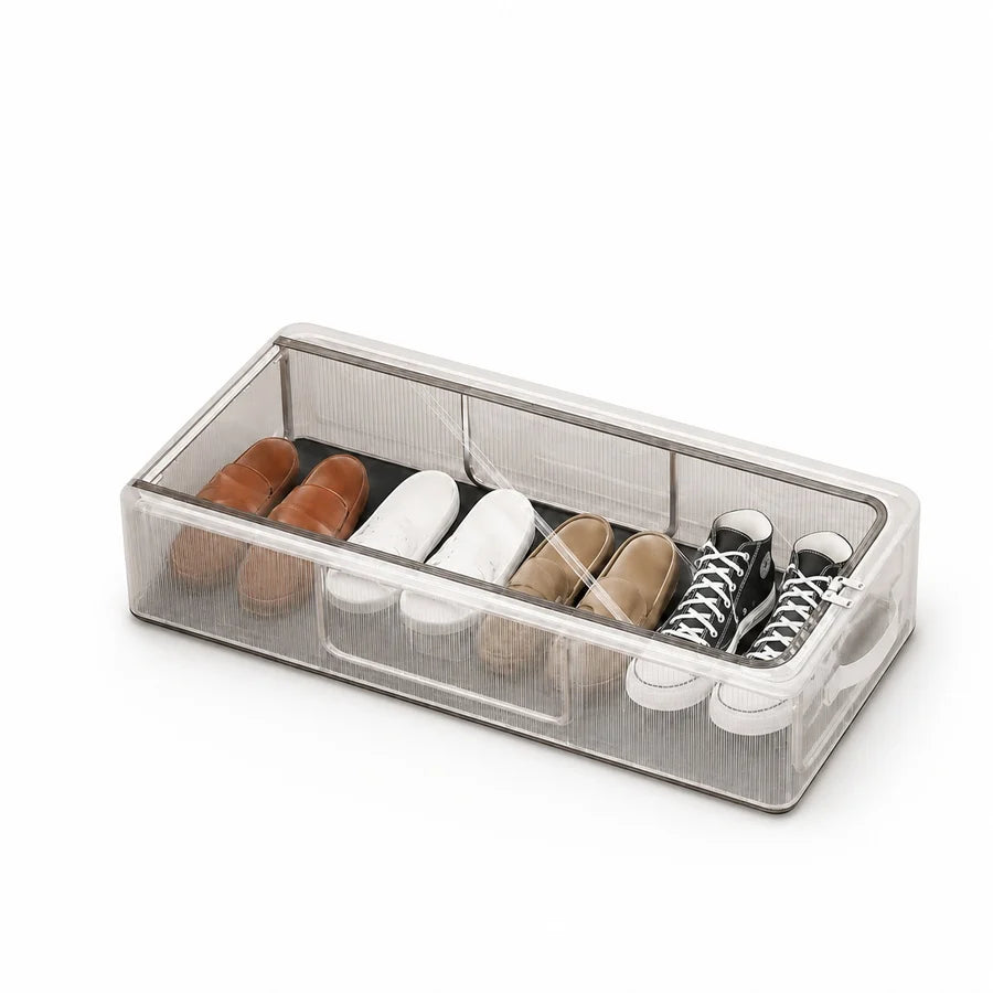 Transparent Shoe Case